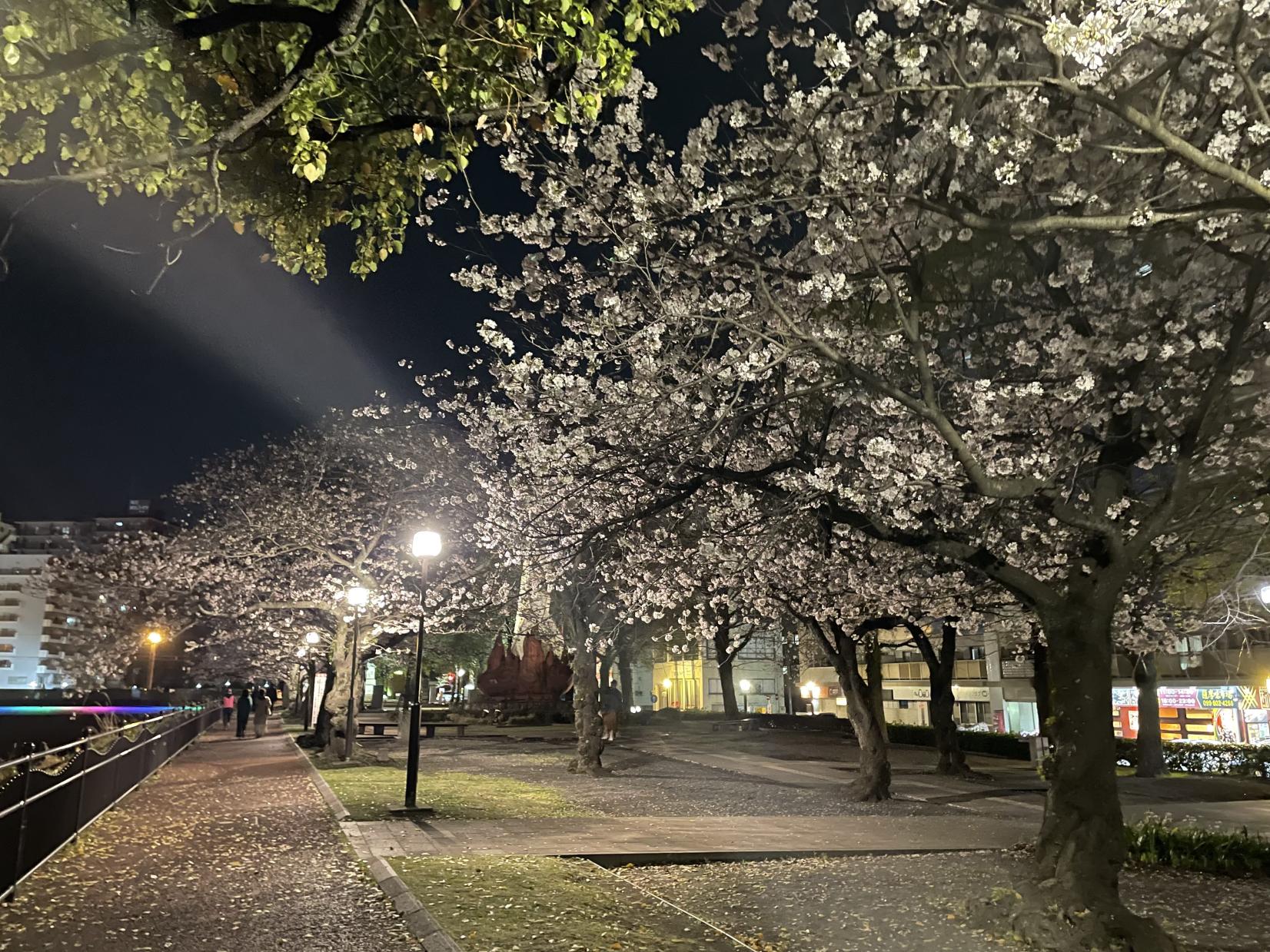 甲突川左岸·右岸绿地-9