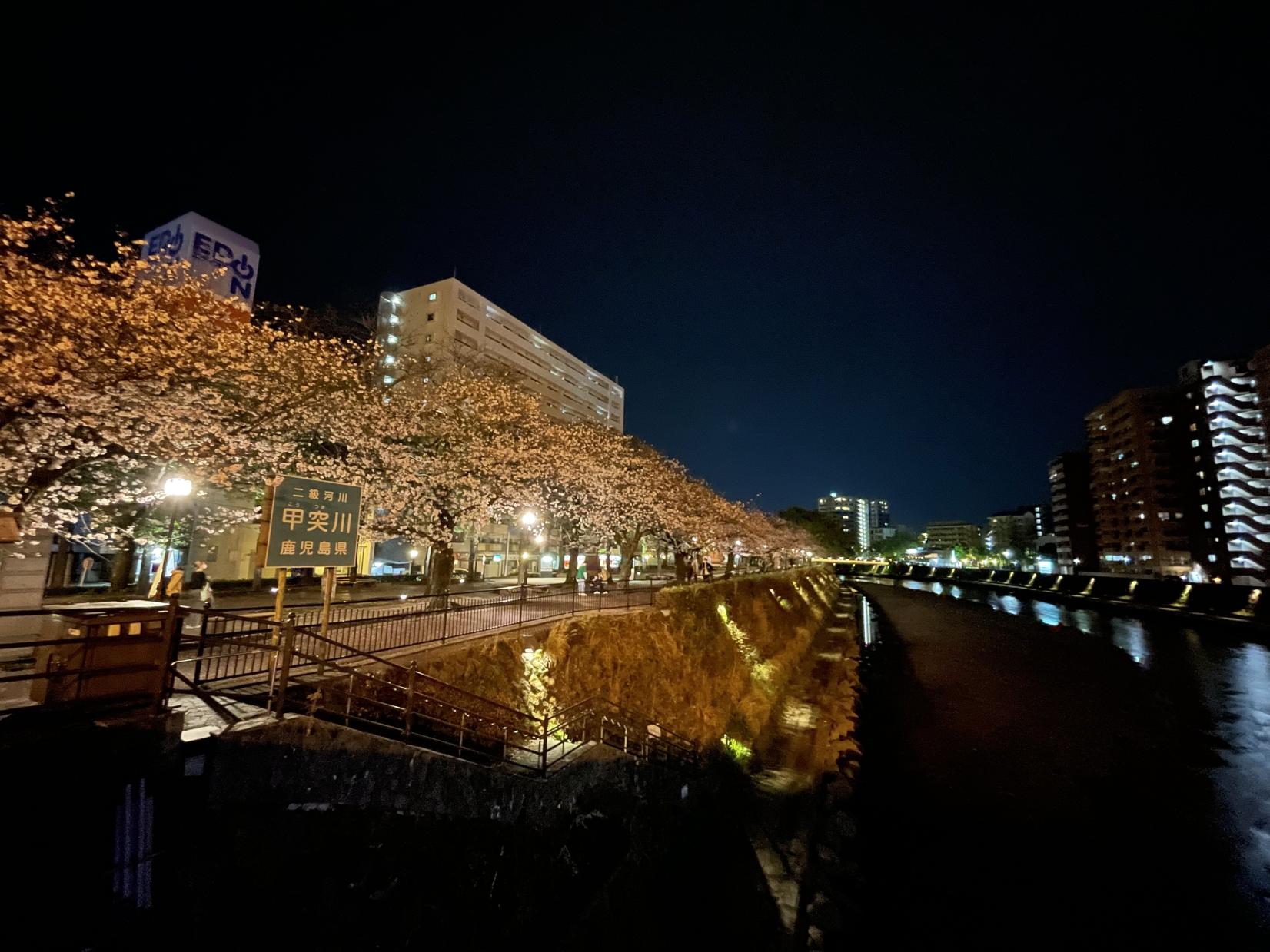 Kotsuki River Green Belt (Left/Right Banks)-1