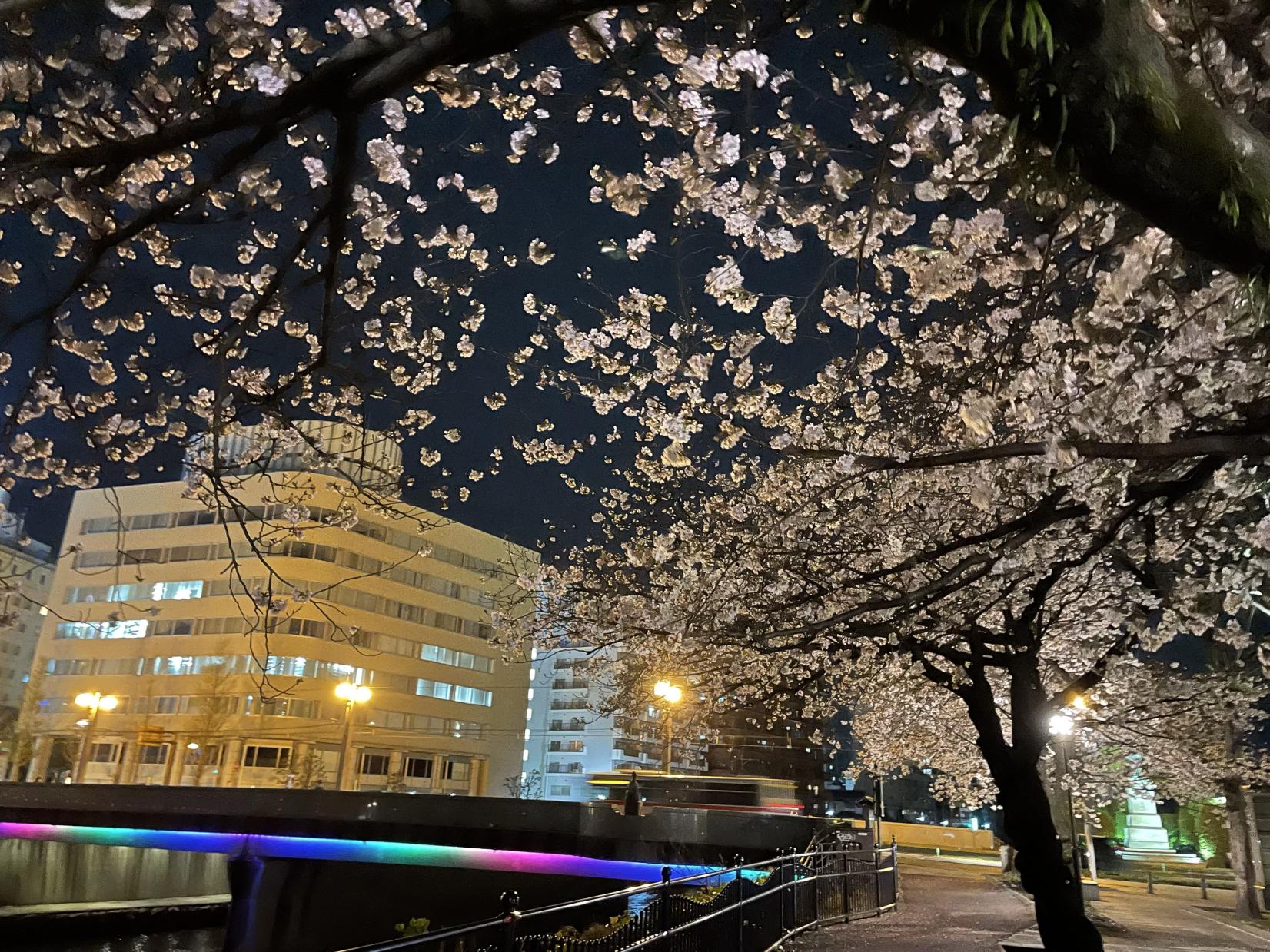 甲突川左岸·右岸綠地-8