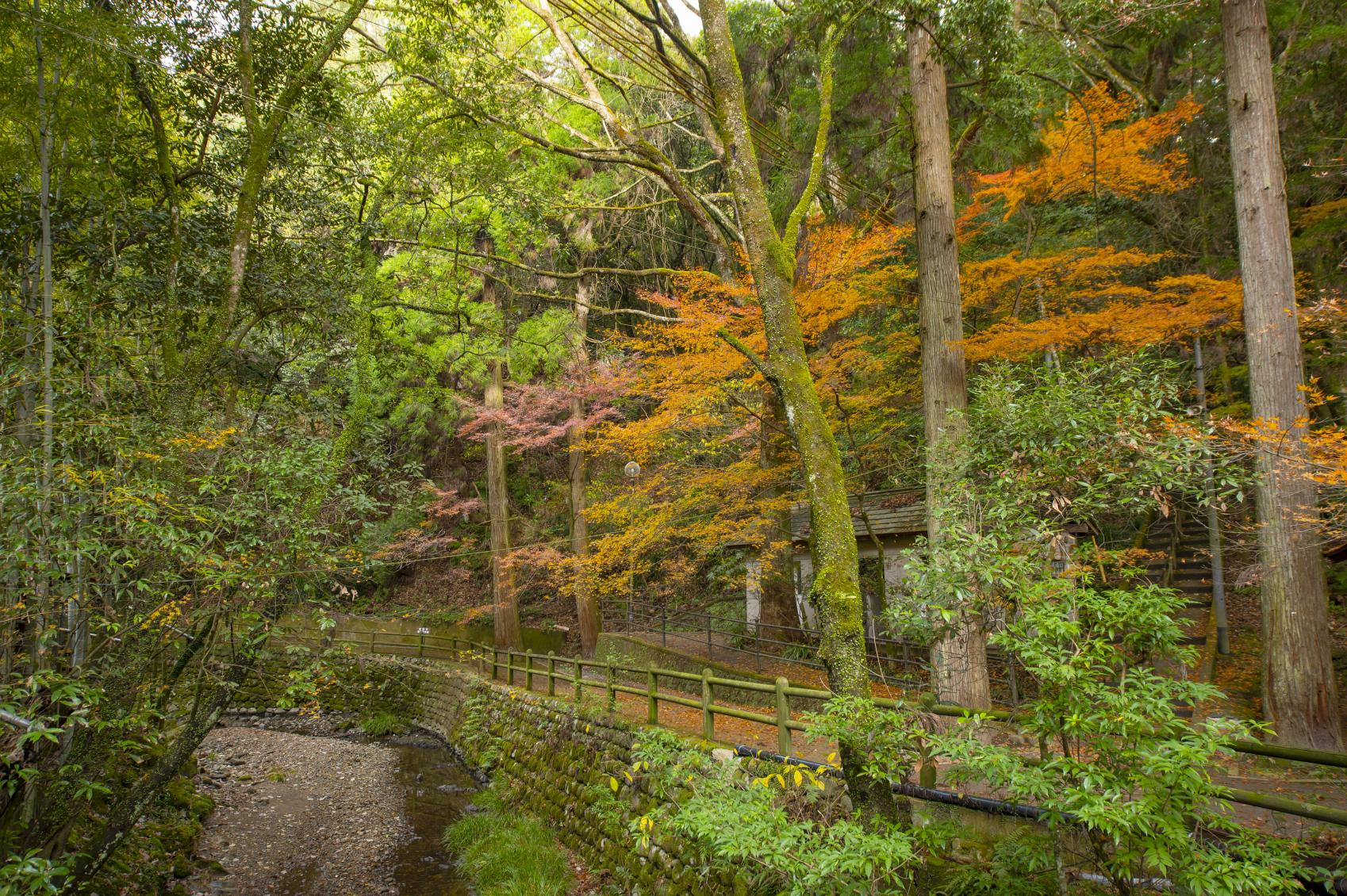 慈眼寺公園／慈眼寺流水麵-5