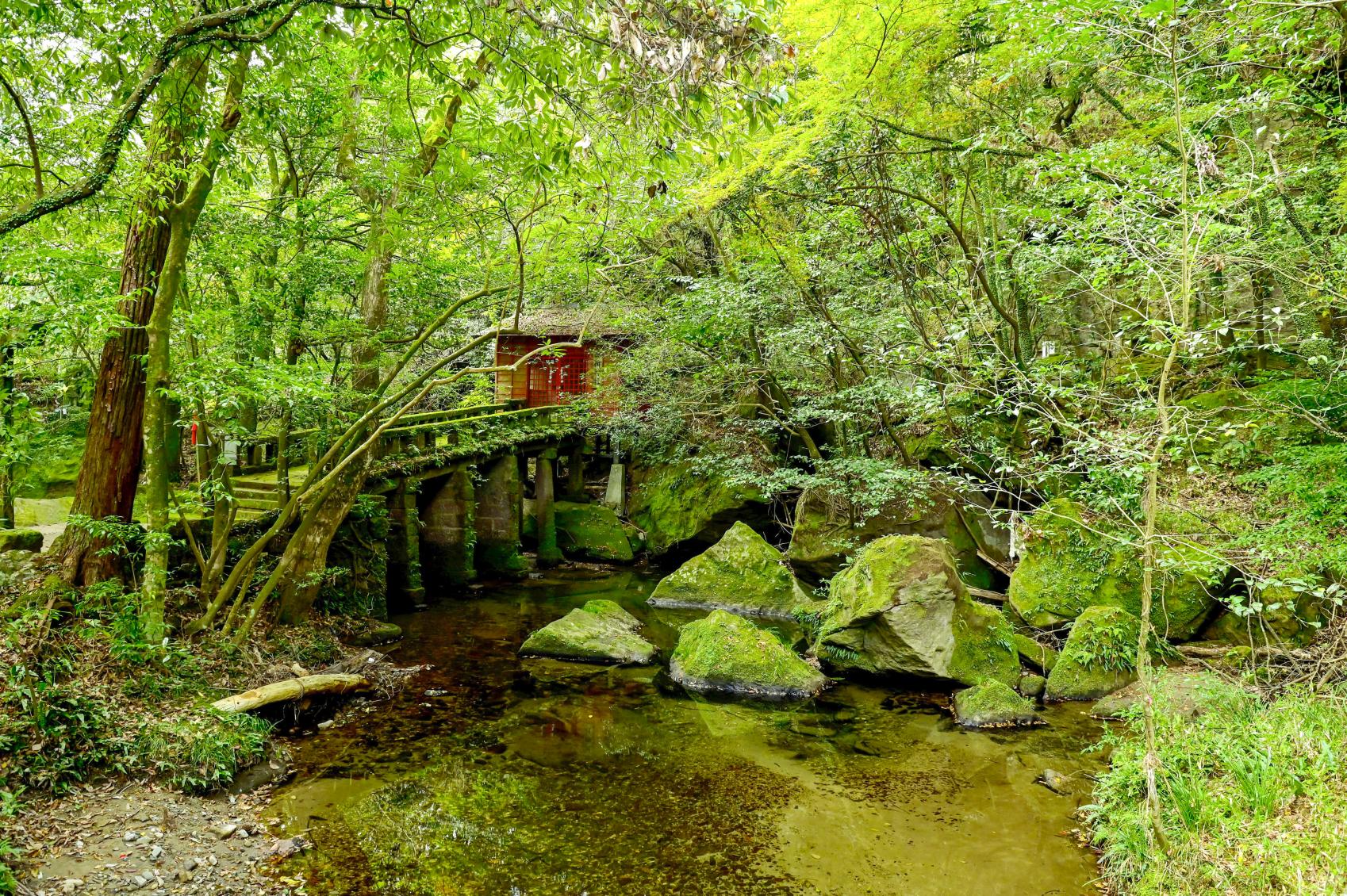 Công viên Jigenji / Mì Jigenji Somen-nagashi-1