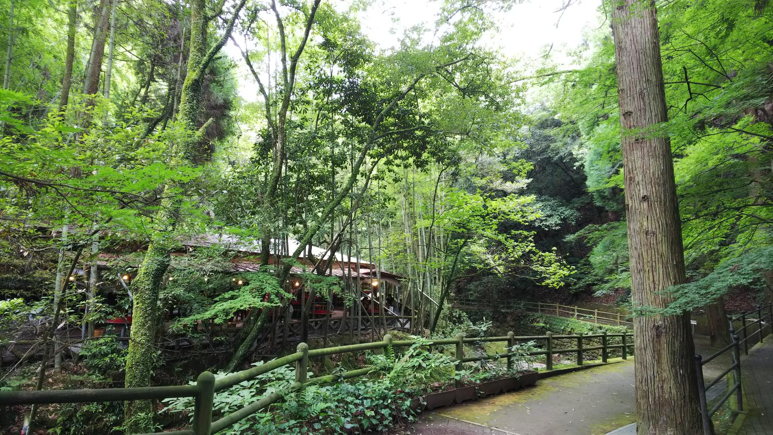 Công viên Jigenji / Mì Jigenji Somen-nagashi-3