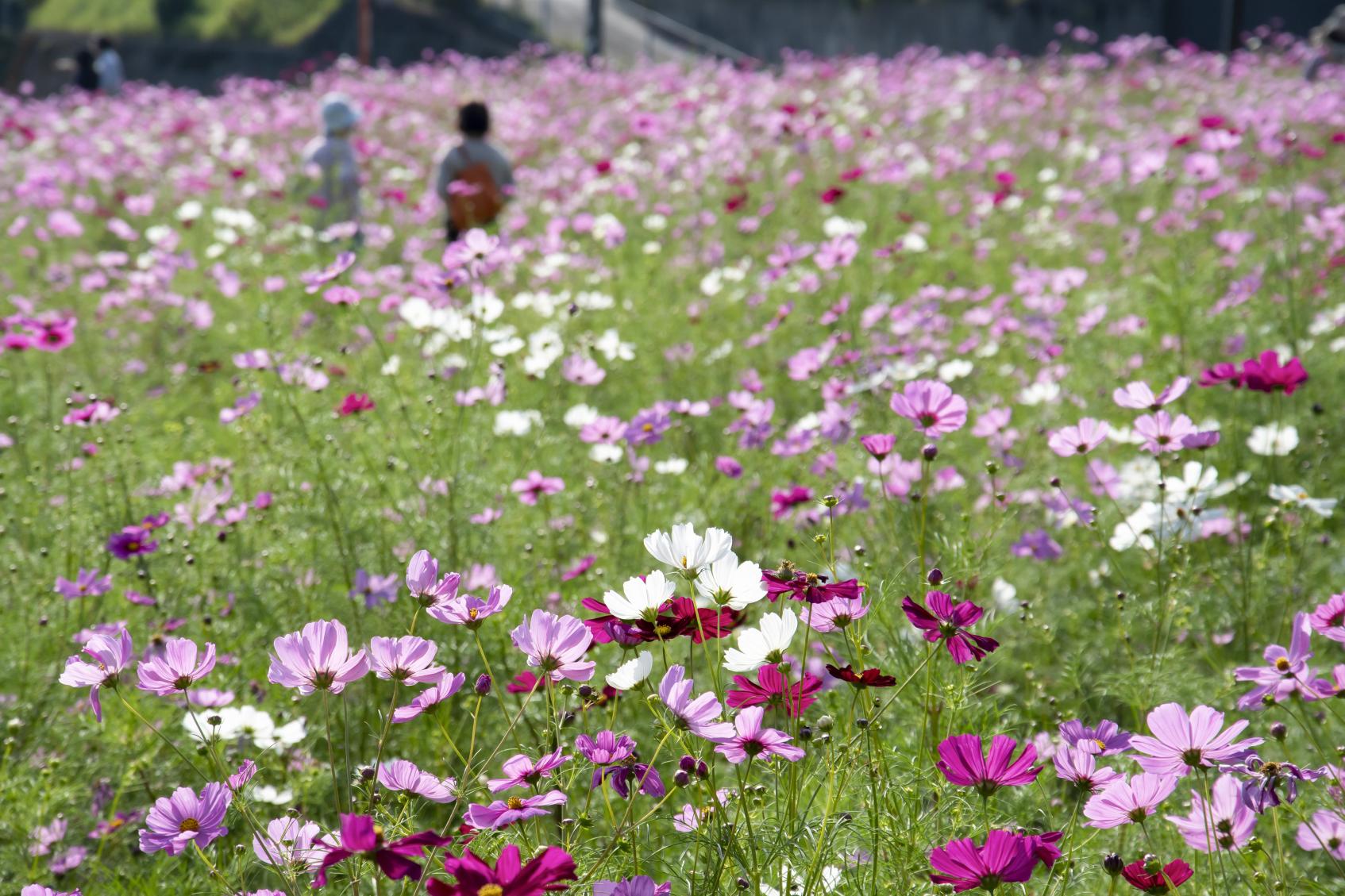 慈眼寺公園-6