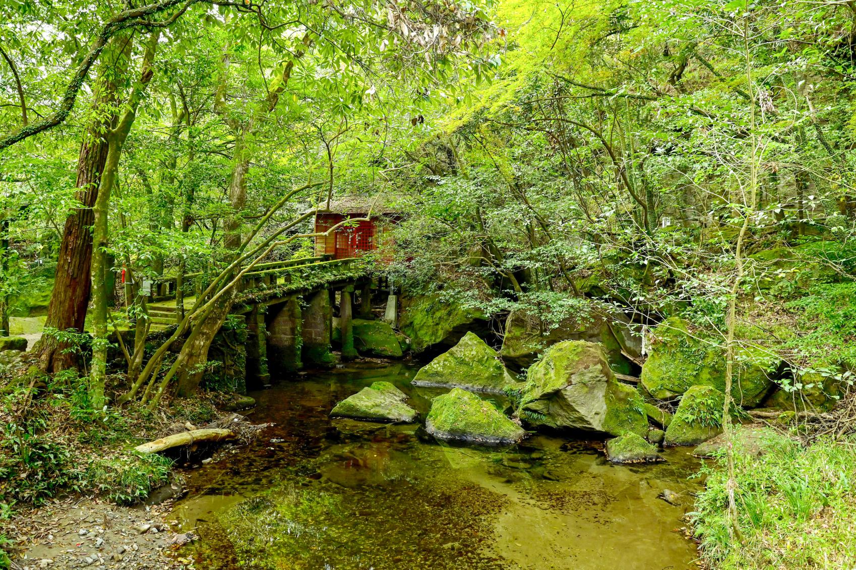 慈眼寺公園／慈眼寺流水麵-2