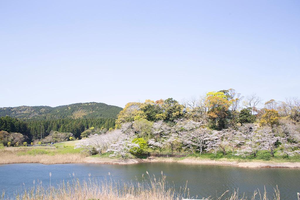 塘之池公園-0