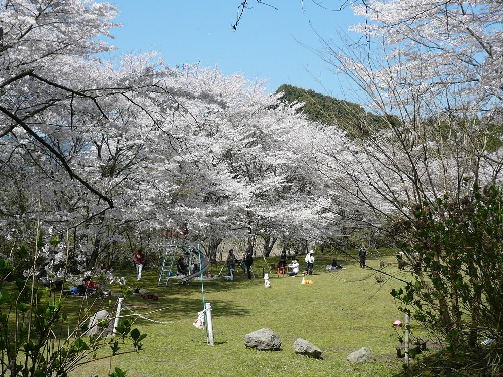 高川ダム周辺公園-1