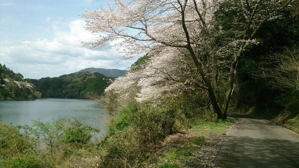 高川ダム周辺公園-2