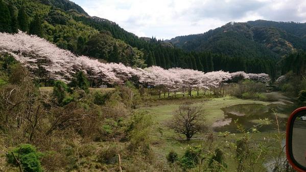 高川ダム周辺公園-1