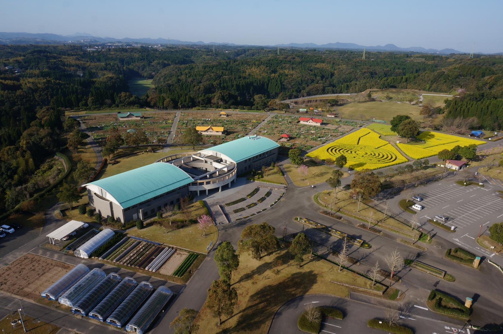 鹿児島市都市農業センター-5