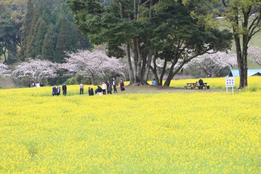 鹿児島市都市農業センター-6