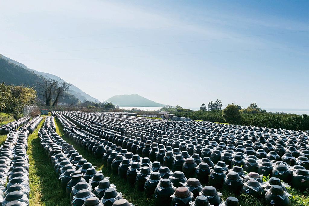 黑酢の郷 桷志田（福山黒酢株式会社）-1