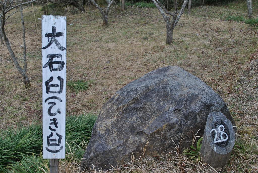 山ヶ野金山-6