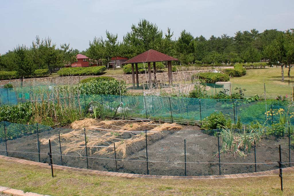 県立吹上浜海浜公園-7