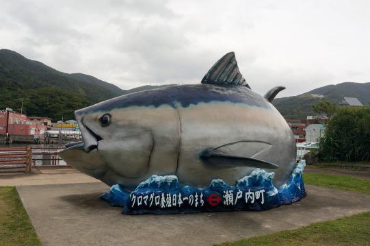 せとうち海の駅-6