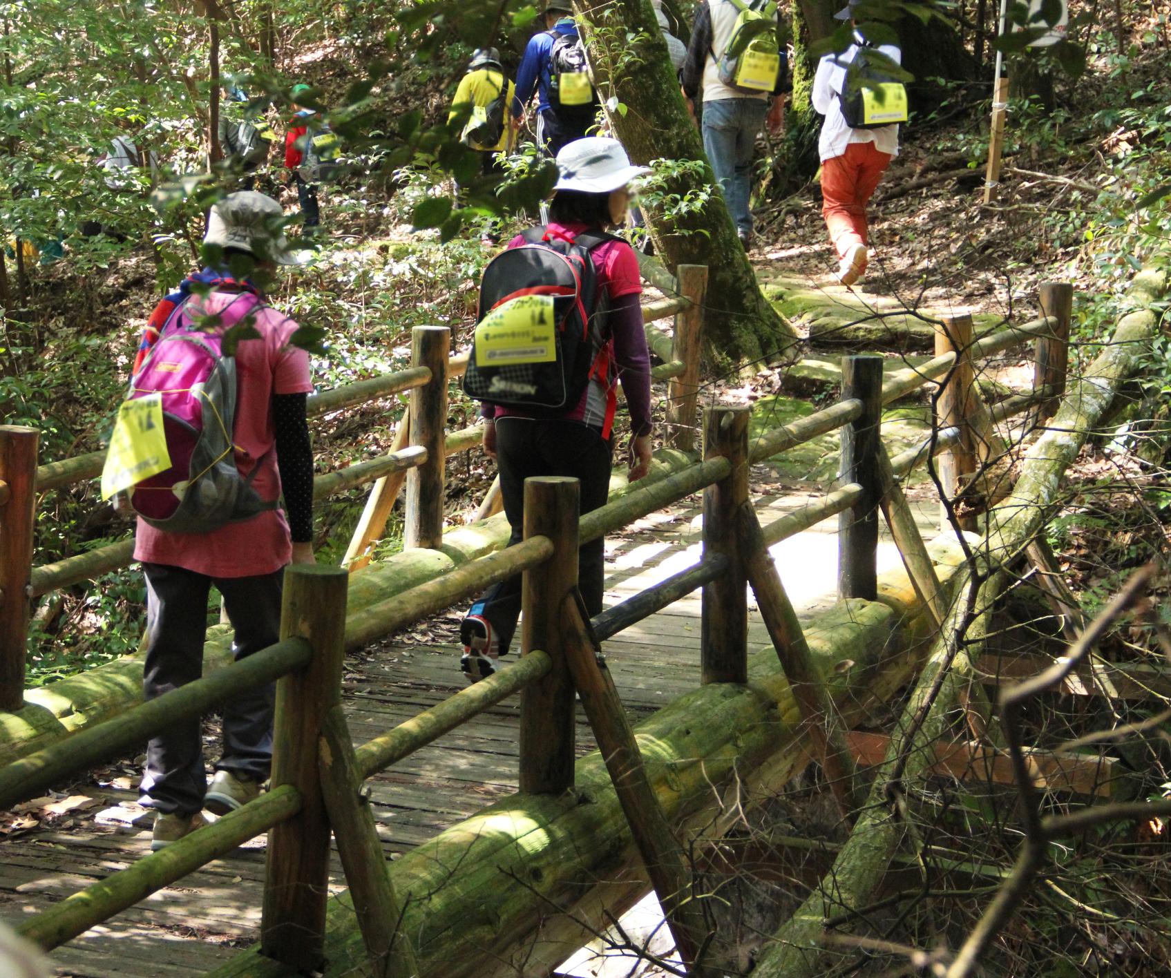 2026　第30回龍馬ハネムーンウオークin霧島-3