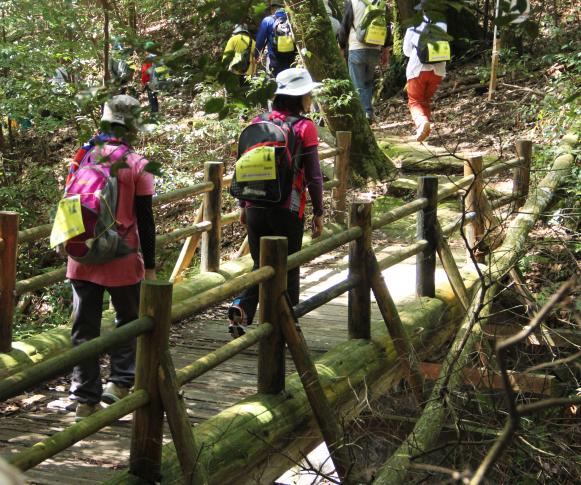 2026　第30回龍馬ハネムーンウオークin霧島-3