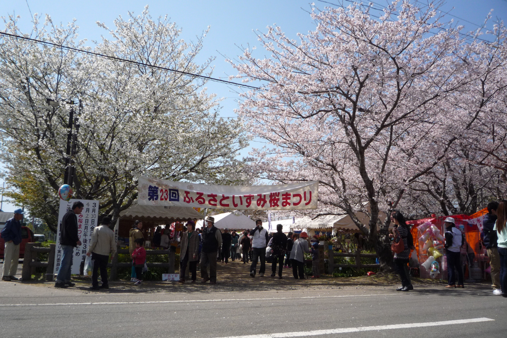 いずみ桜まつり