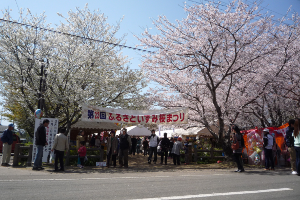 【2023終了】第34回いずみ桜まつり-0