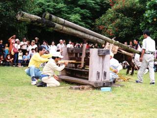 黒砂糖まつり（徳之島町）-1