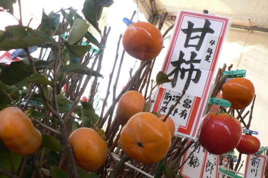 【2024】秋の木市-1