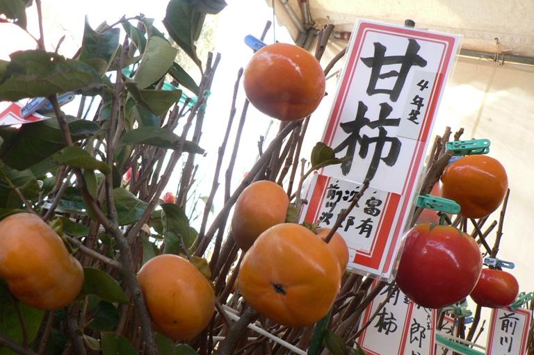 【2024】秋の木市-1