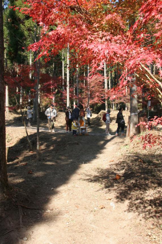 曽於市悠久の森ウォーキング大会-4
