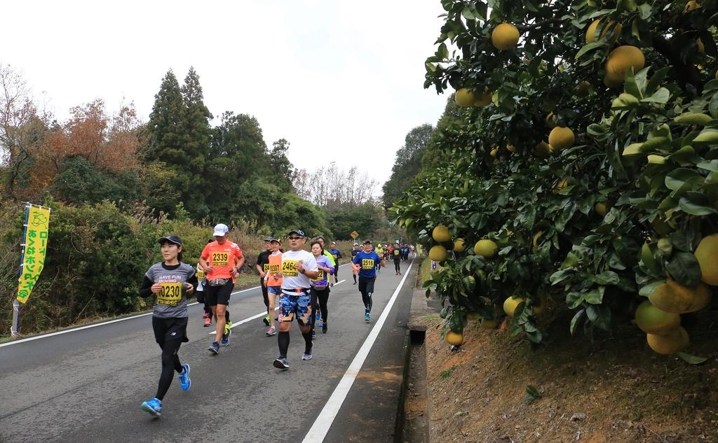 【2024】第41回あくねボンタンロードレース大会-1