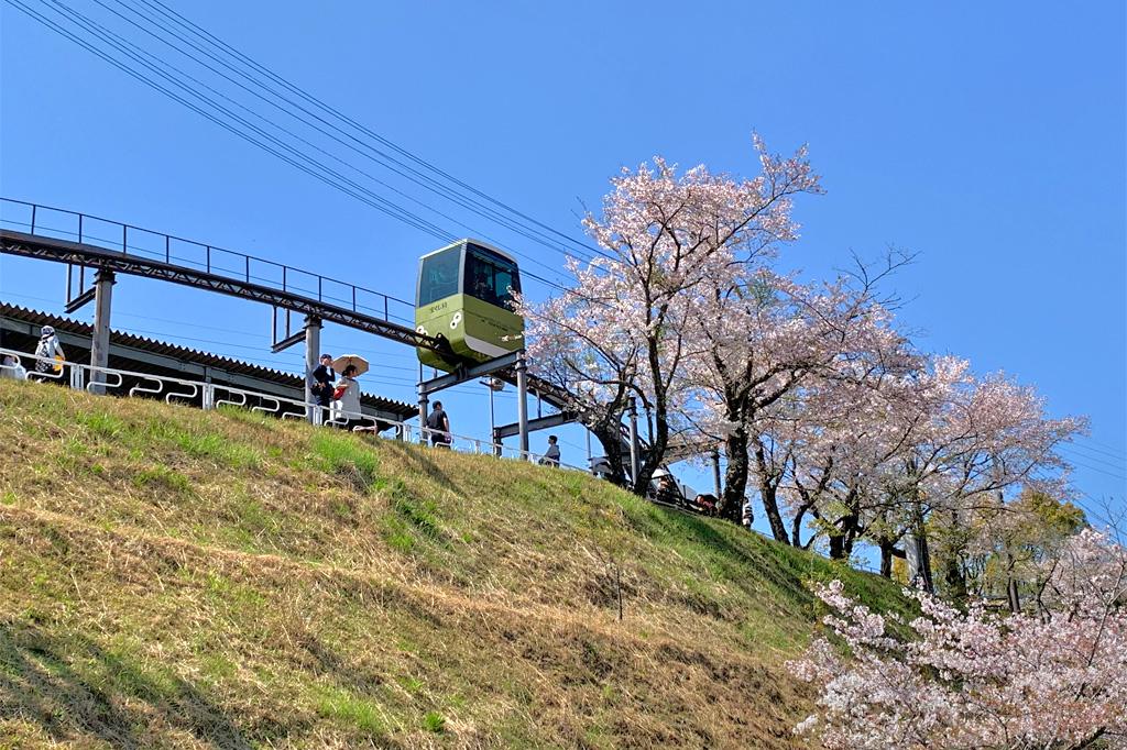 丸岡公園　バンガロー「こもれびの里」-3