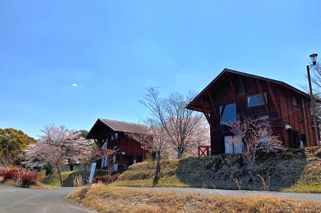 丸岡公園　バンガロー「こもれびの里」-1