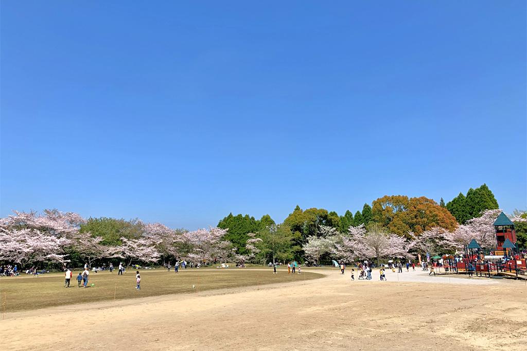 丸岡公園　バンガロー「こもれびの里」-4