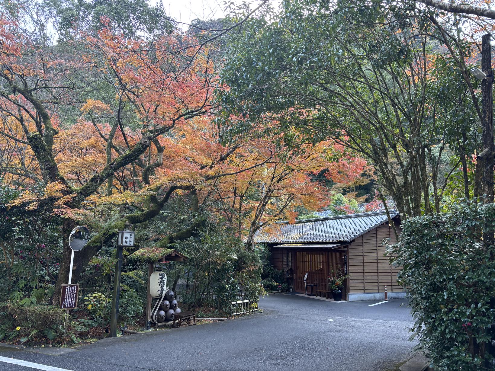 Myoken Onsen Orihashi-Ryokan-5