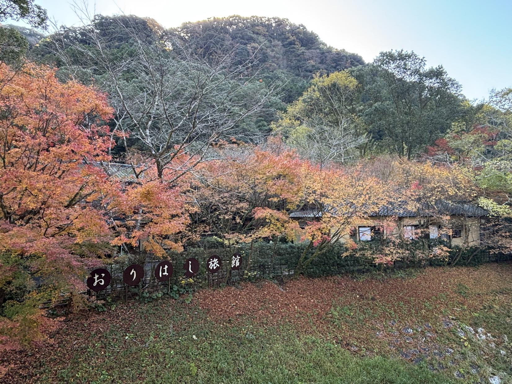 Myoken Onsen Orihashi-Ryokan-4