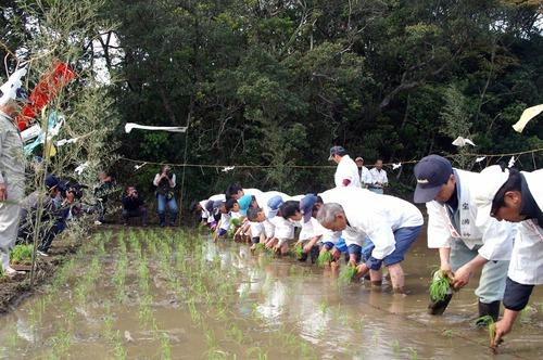 宝満神社お田植え祭り-1