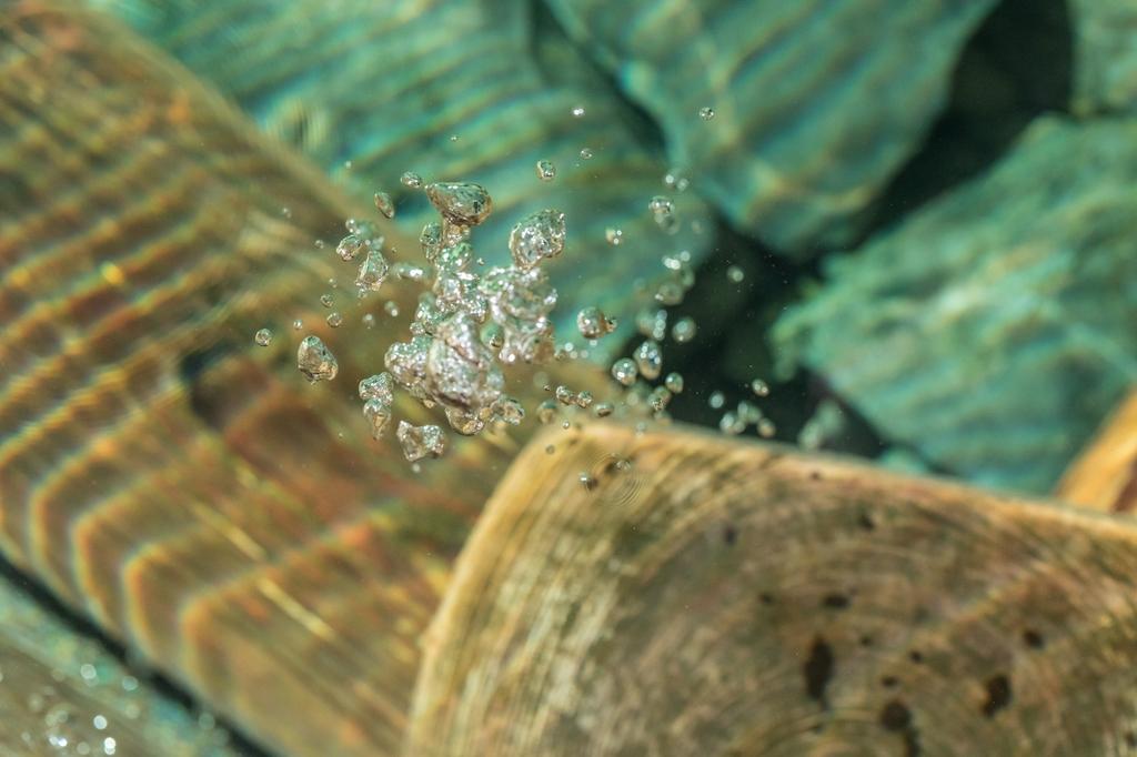 湯川内温泉　かじか荘-3