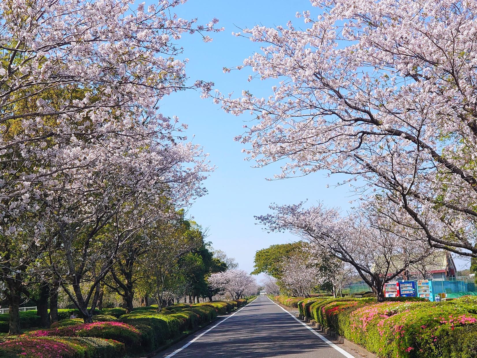 구시라 평화 공원-1