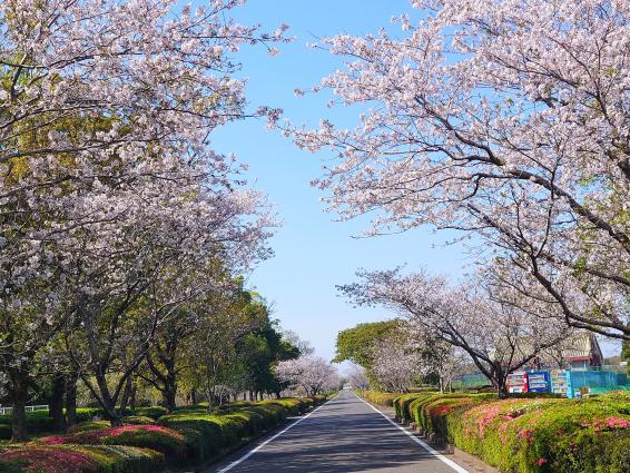 串良平和公園-1