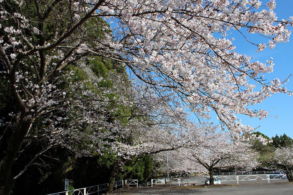 Osumi Sogo Undo Park-0