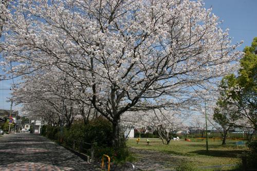 Takarabe Jido Park-1