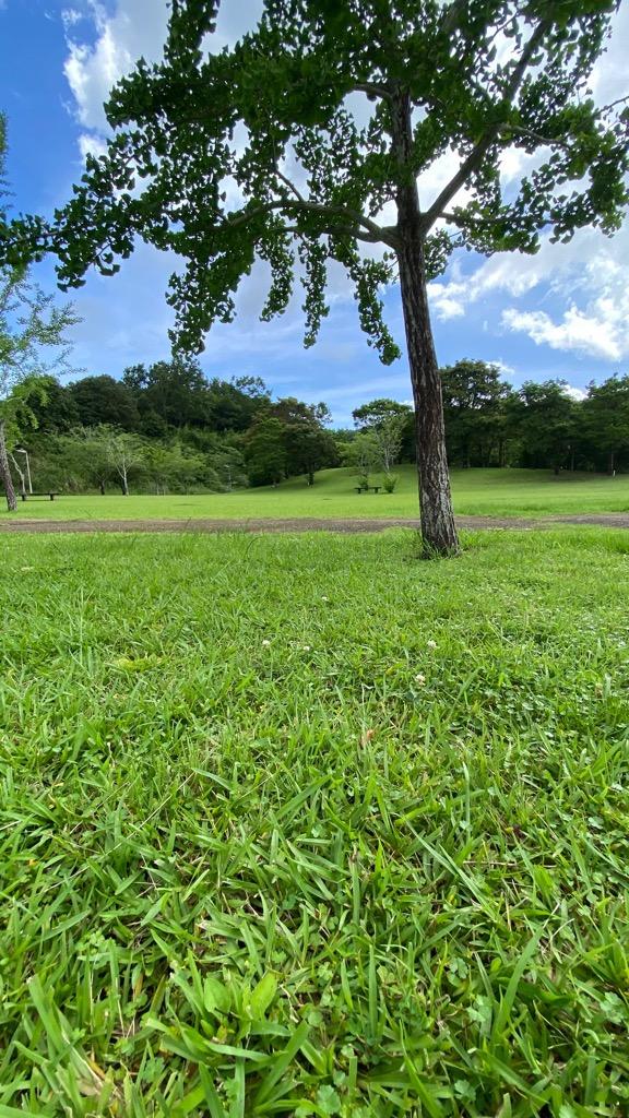 有明開田の里公園-5