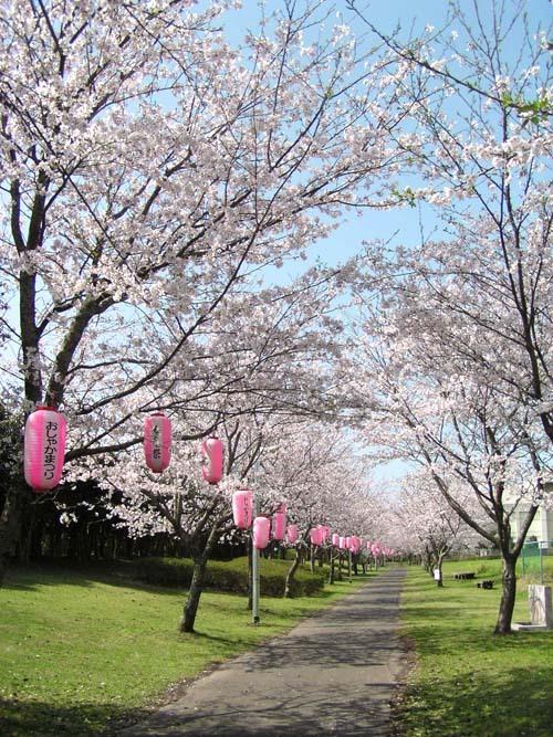 志布志大浜緑地公園-0