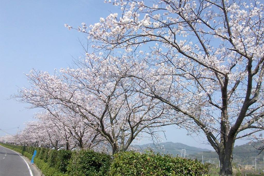 五反田川沿い-0