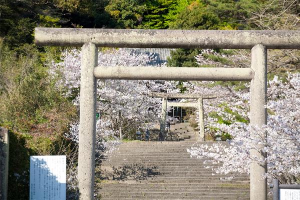 精矛神社-6