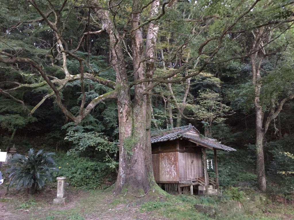 精矛神社-8