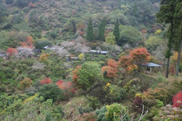 Shinonomenosato of Ajisai Canyon-7