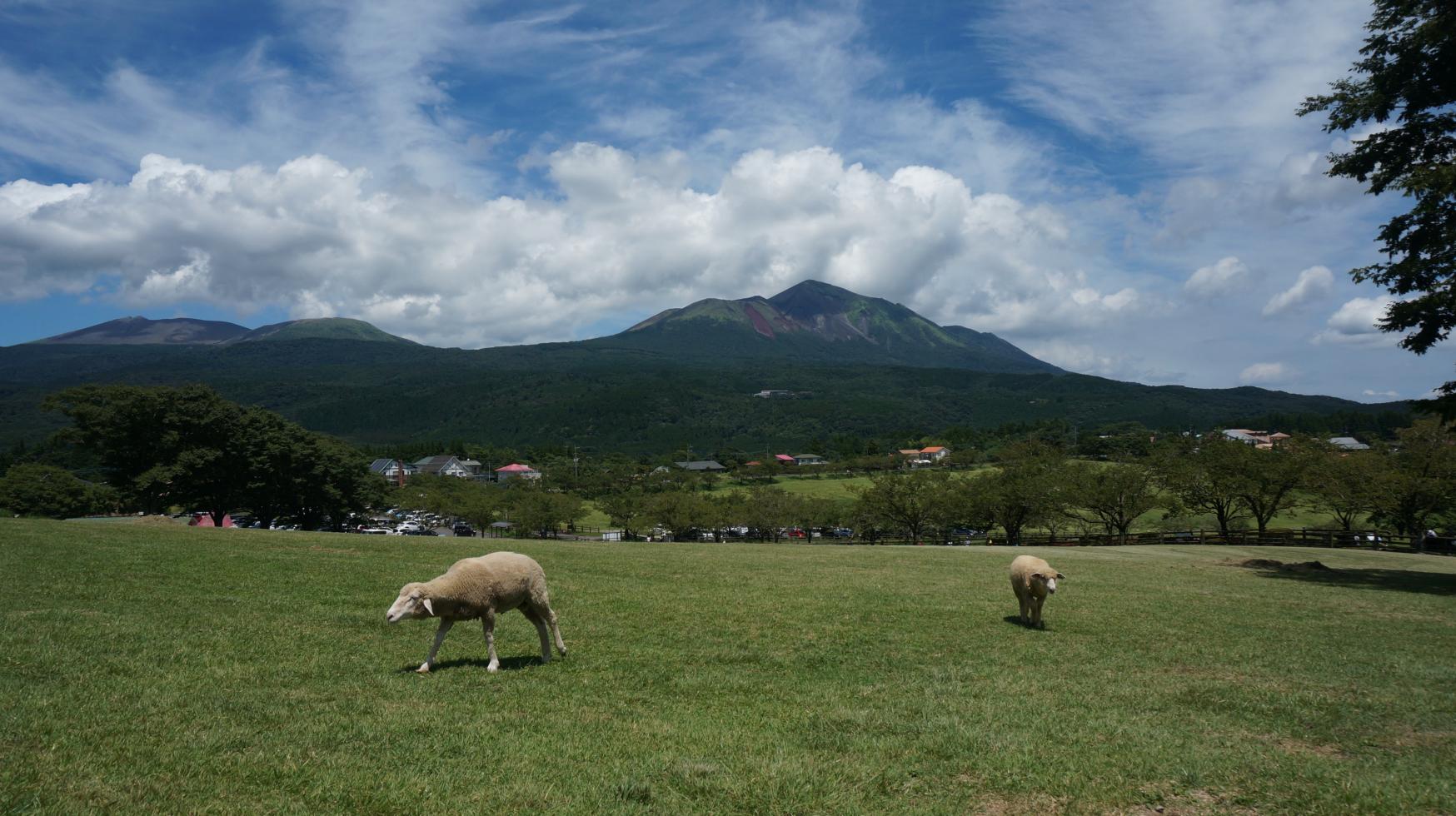 Takachiho Farm-3