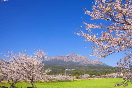 Takachiho Farm-1