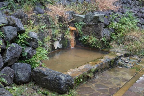 塩浸温泉龍馬公園-7