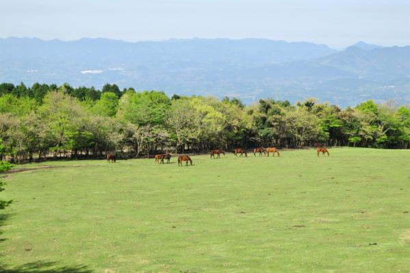 霧島アート牧場-2