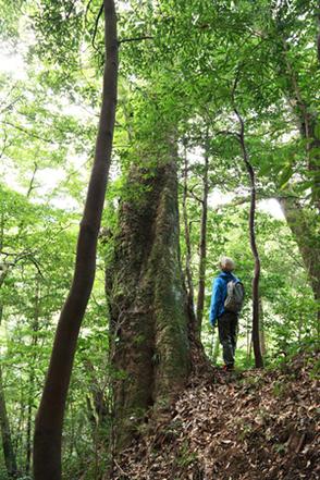 二股川キャンプ場-1