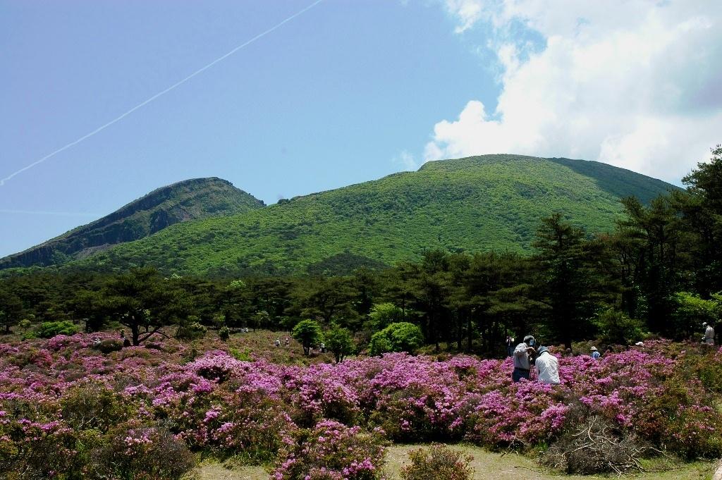 Ebino Eco Museum Center-9